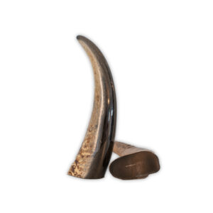 Corne de buffle pleine à mâcher pour chien