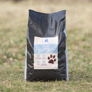 Croquettes au boeuf Angus et légumes variés pour Chien