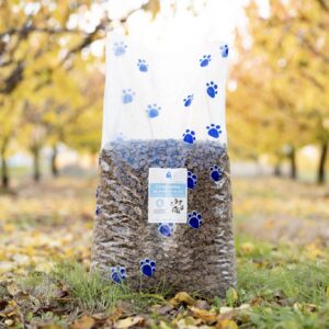Croquettes au poulet avec du riz pour Chien Adulte