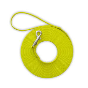 Longe d'éducation pour Chien