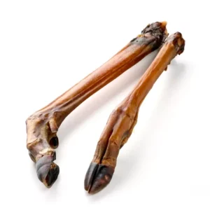 Patte de chevreuil pour Chien